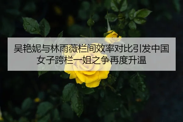 吴艳妮与林雨薇栏间效率对比引发中国女子跨栏一姐之争再度升温