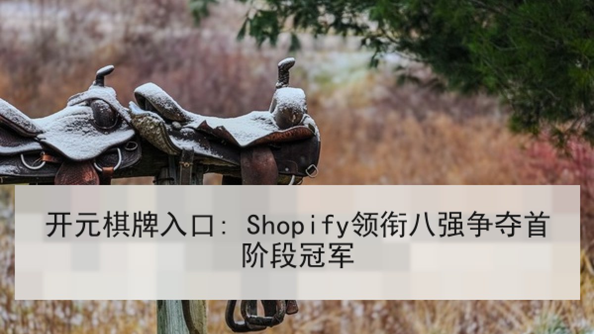 开元棋牌入口: Shopify领衔八强争夺首阶段冠军