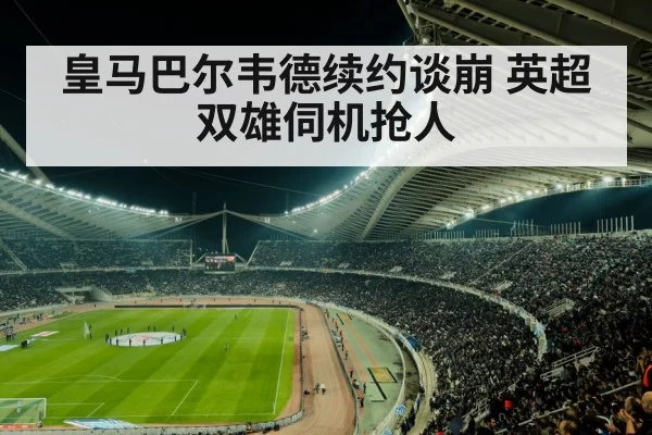 soccer stadium crowd