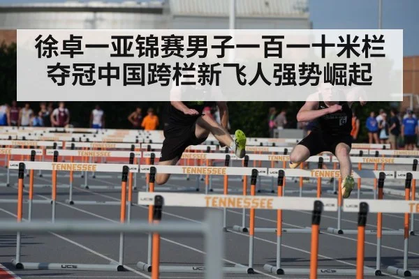 徐卓一亚锦赛男子一百一十米栏夺冠中国跨栏新飞人强势崛起