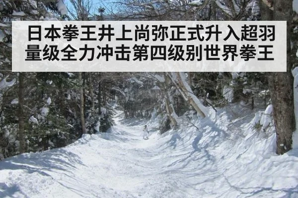 日本拳王井上尚弥正式升入超羽量级全力冲击第四级别世界拳王